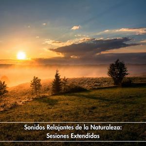 Sonidos Relajantes de la Naturaleza: Sesiones Extendidas