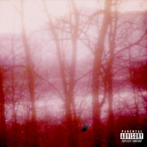 5 MISSED CALLS (Explicit)