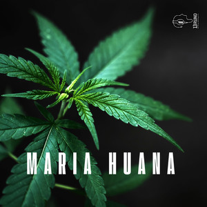 Maria Huana (Radio Edit)