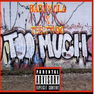 Too Much (feat. BABYMULA) [Explicit]