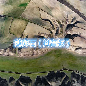 趁着还未老