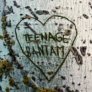 Teenage Bantam (Explicit)