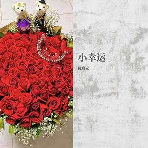 小幸运 (钢琴版)