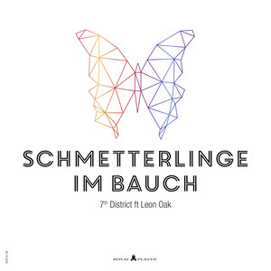 Schmetterlinge Im Bauch