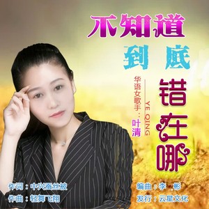 不知道到底错在哪 (女声)