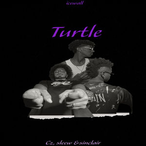 Turtle (Explicit)