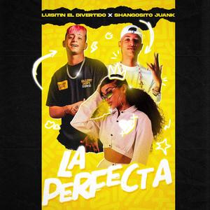 La perfecta (Explicit)