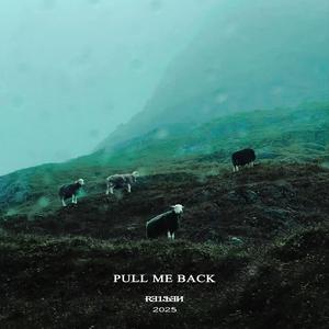 PULL ME BACK