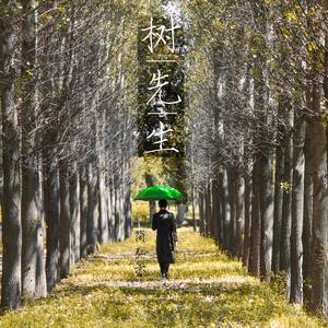 简弘亦专辑《树先生》封面图片