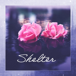 Shelter