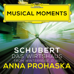 Winterreise, D. 911 - Schubert: Winterreise, D. 911: 21. Das Wirtshaus (艺术歌曲《冬之旅》，D. 911)