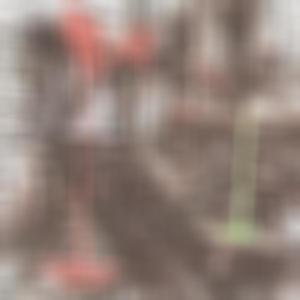 Go right (feat. SSG Bankz) (Explicit)