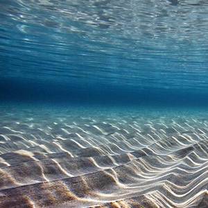 Instrumental Free Rich People