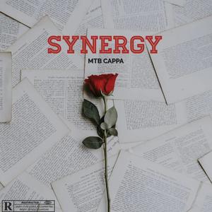 Synergy (Explicit)