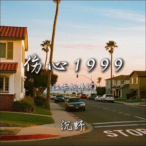 伤心1999 (深情烟嗓版)封面