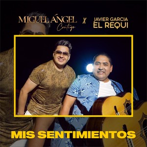 Mis Sentimientos