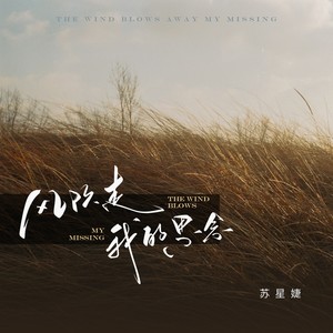 苏星婕《风吹走我的思念》[MP3_LRC]_MP3免费下载