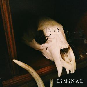 LiMiNAL