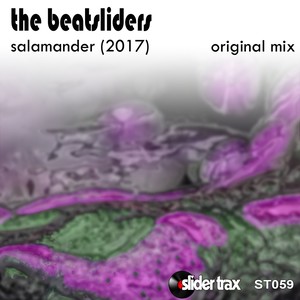 Salamander (2017)