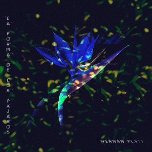 La forma de los pájaros