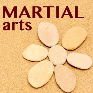 Martial Arts - Brazilian Capoeira Music Workout Collection, Aerobic & Cardio Training