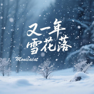 又一年雪花落