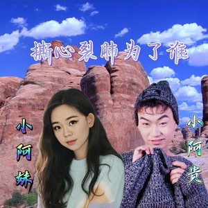 撕心裂肺为了谁 (水墨DJ)