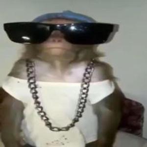 Givenofuks (feat. That Yb Ant) (Explicit)