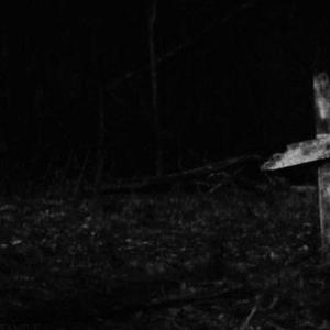 rest up (feat. 279tyler) (Explicit)