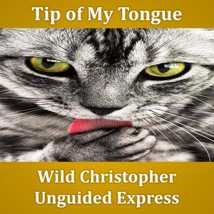 Tip of My Tongue (feat. Unguided Express)