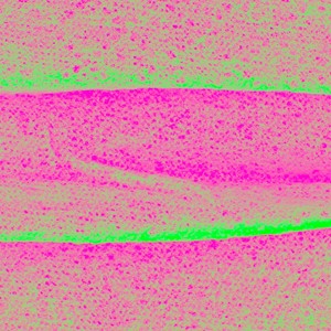 Mina (Betterthief Remix)