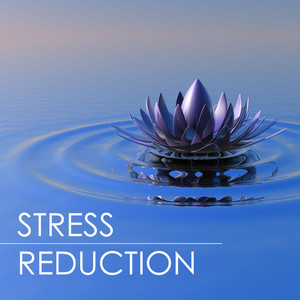 Stress Reduction - The Best Stress Relieving Music for Mindfulness Meditation Techniques