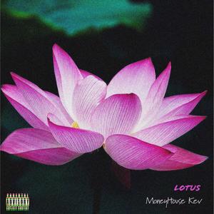 Lotus (Explicit)