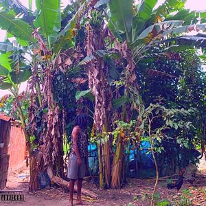 Gunia (Remix|Explicit)