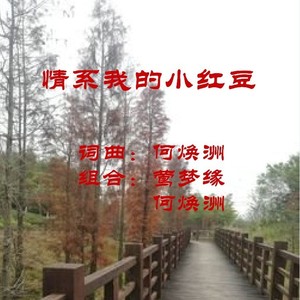何焕洲-茜草心 - 情系我的小红豆