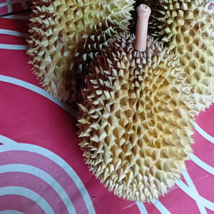 Durian gusto ko