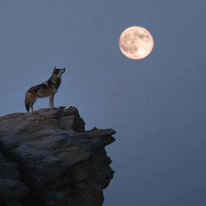 Watching You (Explicit)