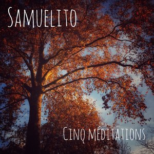 Cinq méditations