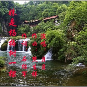 妹是杨梅树一棵