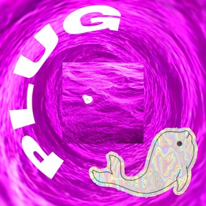 Plug