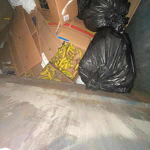 death (dadada) (feat. greyrock) (Explicit)