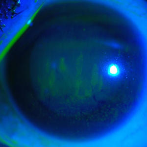 Cuando Antes Fue Después (Explicit)