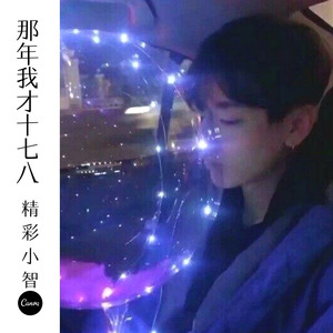 那年我才十七