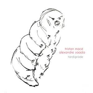 Tardigrade