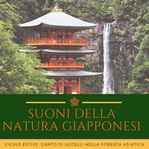 Suoni della Natura Giapponesi - Cicale estive, canto di uccelli nella foresta asiatica