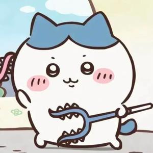 美美桑内（chiikawa小八）封面