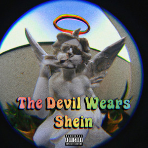 The Devil Wears Shein (Explicit)