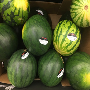 Survivors (Explicit)