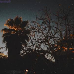 Pigeons & Seagulls (Explicit)