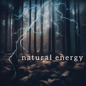 TheZobochin - natural energy